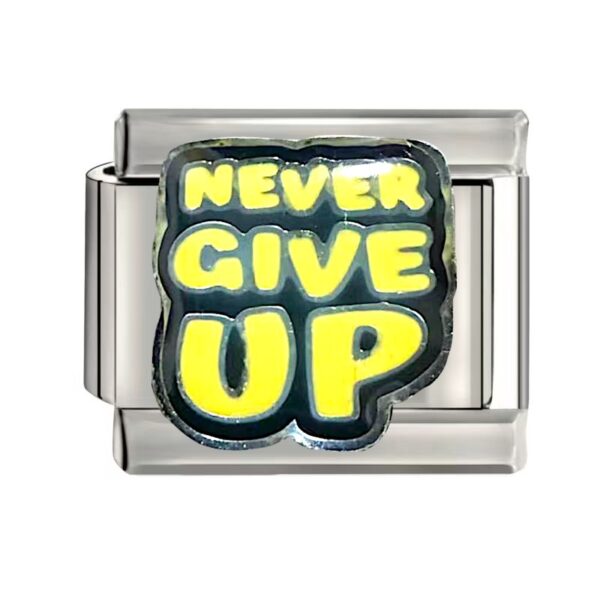 NEVER GIVE UP