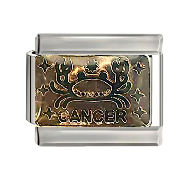 CANCER (かに座) 6/22〜7/22