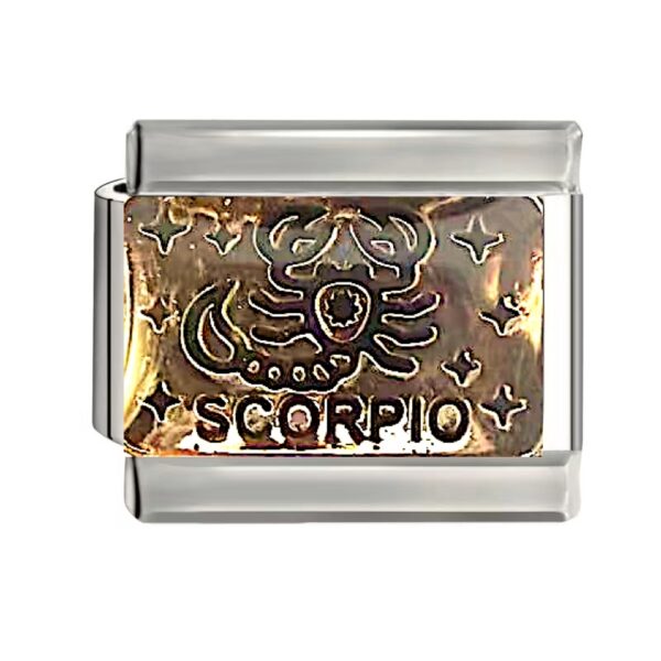 SCORPIO (さそり座) 10/24〜11/22