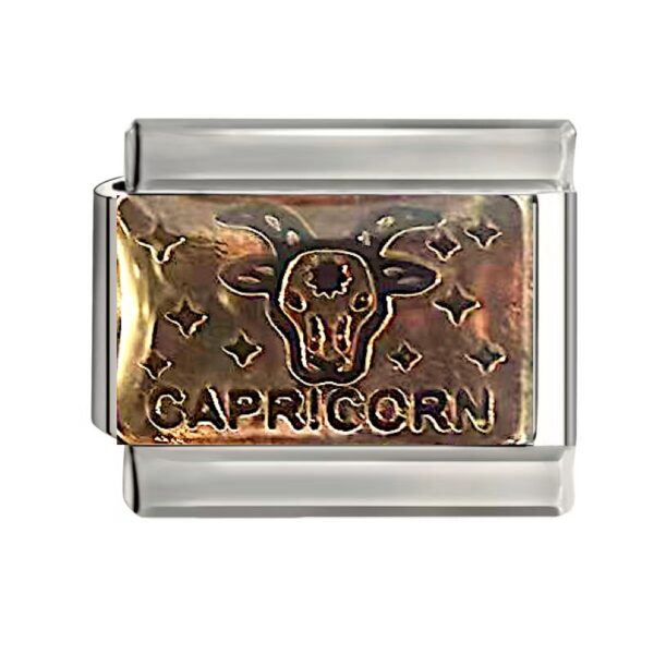CAPRICORN (やぎ座) 12/22〜1/19
