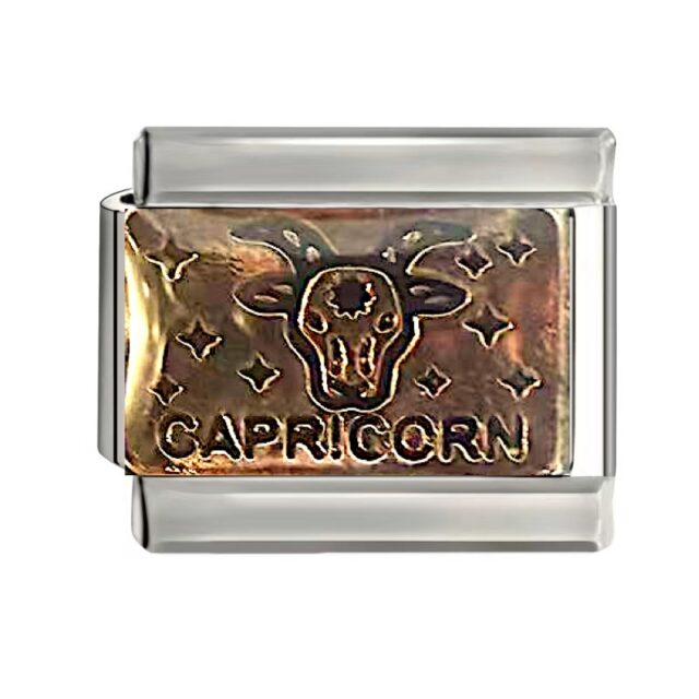 CAPRICORN (やぎ座) 12/22〜1/19