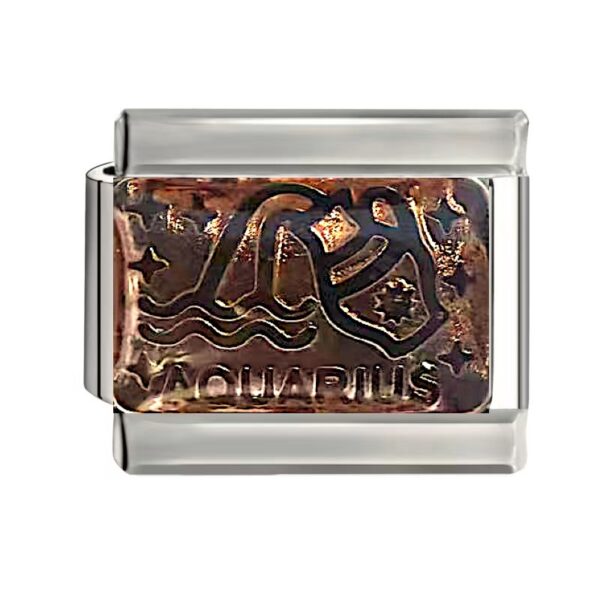 AQUARIUS (みずがめ座) 1/20〜2/18