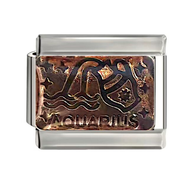 AQUARIUS (みずがめ座) 1/20〜2/18