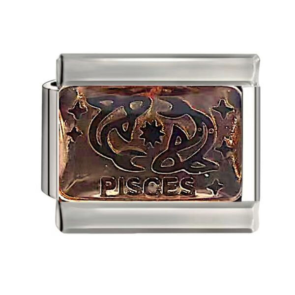 PISCES (うお座) 2/19〜3/20